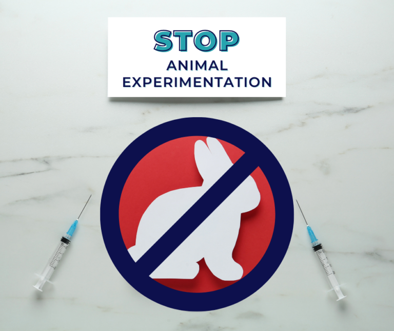 nine-things-we-can-all-do-to-help-stop-animal-experimentation-ethical