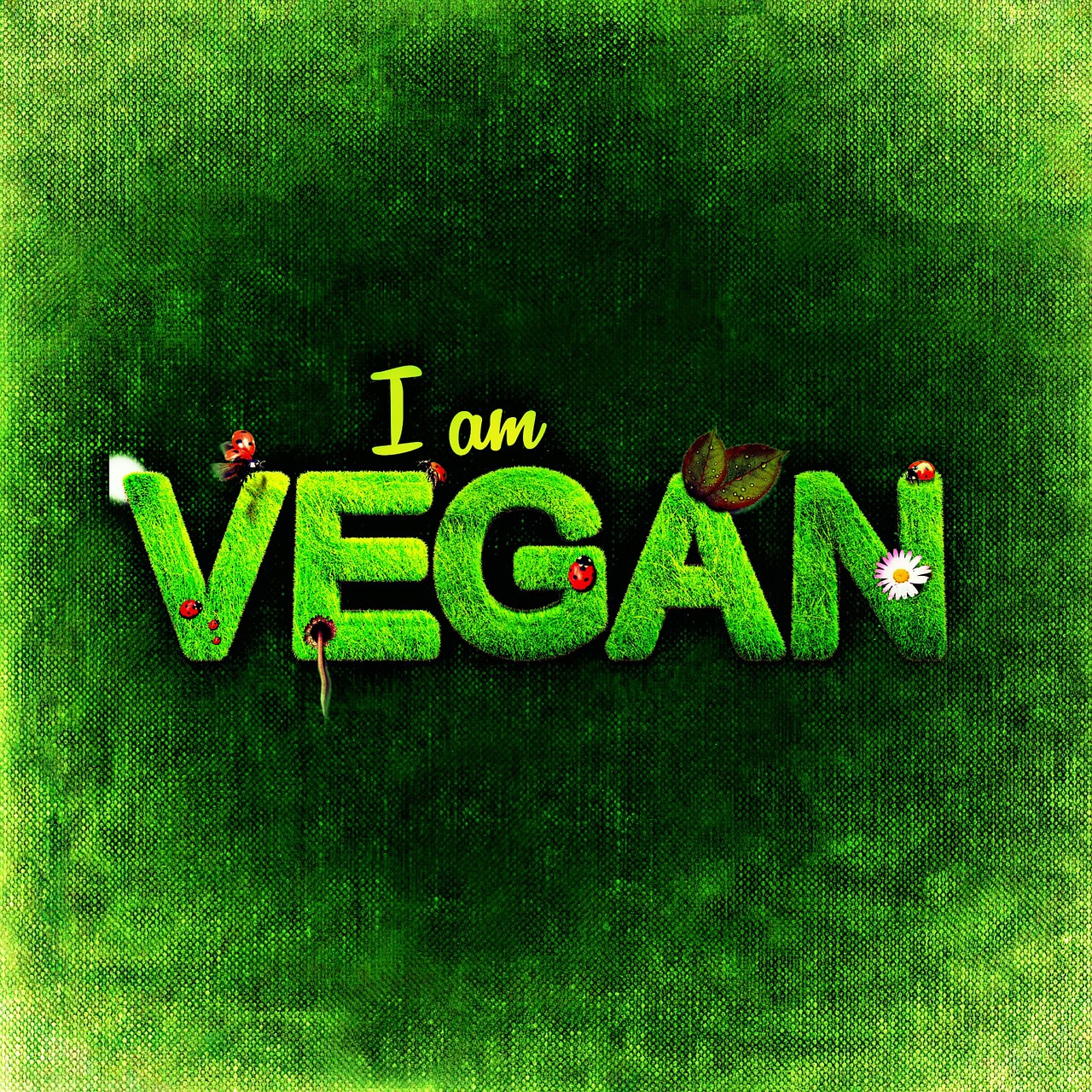 is-veganism-a-protected-belief-ethical-globe