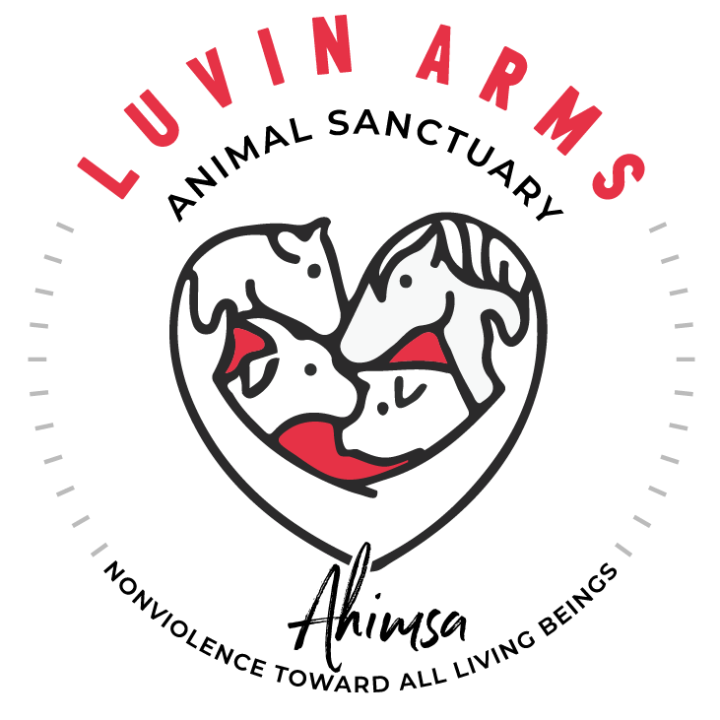 Luvin Arms Animal Sanctuary